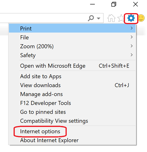 Internet Explorer  20 